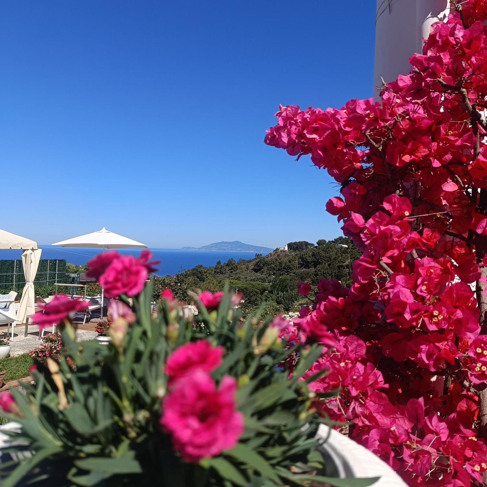 Ferienwohnung La Campagnola Anacapri  Exterior foto