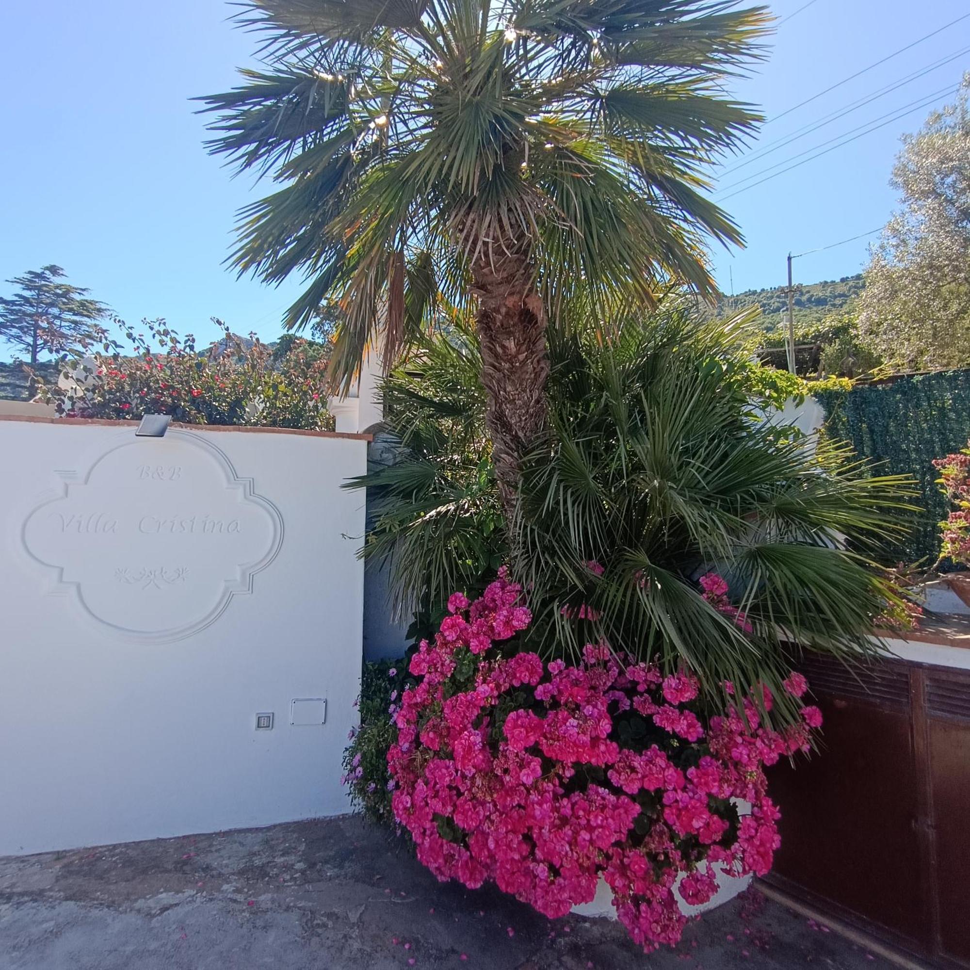 Ferienwohnung La Campagnola Anacapri  Exterior foto